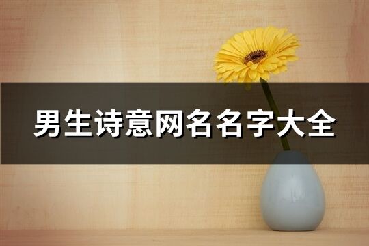 男生詩意網名名字大全(共418個)