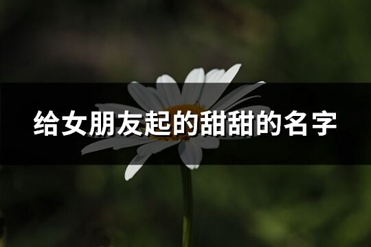 給女朋友起的甜甜的名字(優選227個)