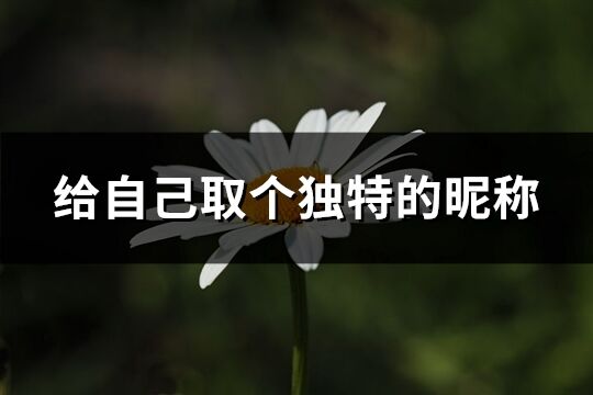 給自己取個獨特的昵稱(共267個)