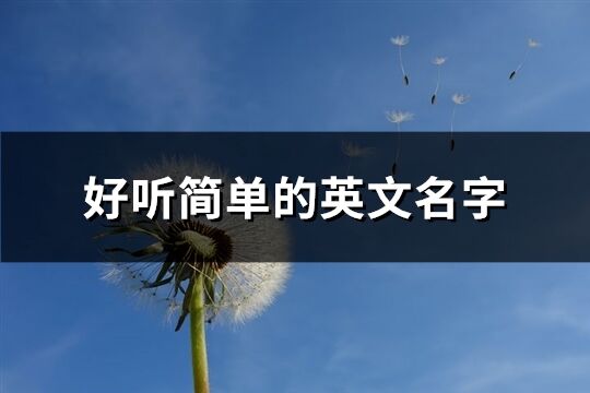好聽簡單的英文名字(139個)