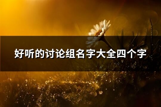 好聽(tīng)的討論組名字大全四個(gè)字(精選393個(gè))