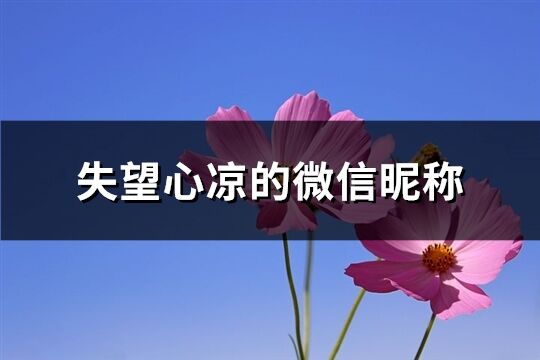 失望心涼的微信昵稱(共229個)