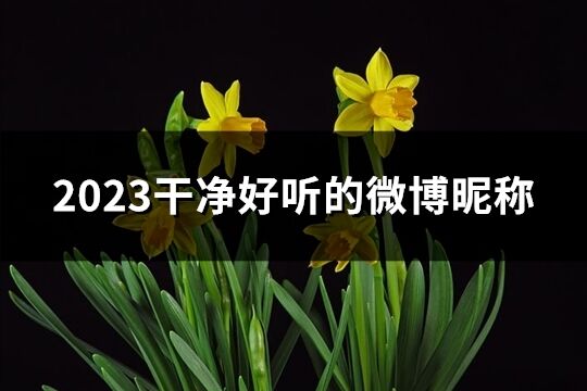 2023干凈好聽的微博昵稱(優選124個)