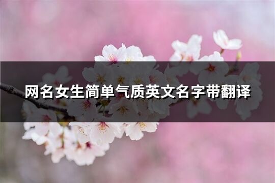 網名女生簡單氣質英文名字帶翻譯(精選86個)
