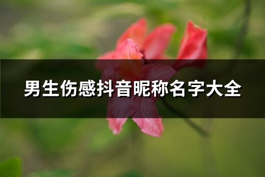 男生傷感抖音昵稱名字大全(319個(gè))