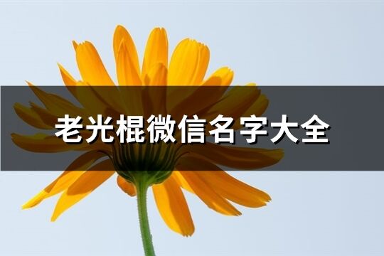 老光棍微信名字大全(68個(gè))
