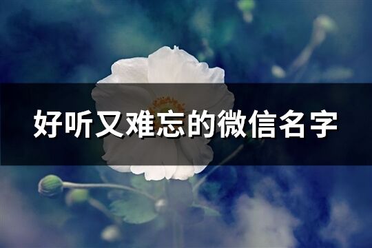 好聽又難忘的微信名字(共730個)