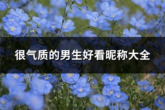 很氣質(zhì)的男生好看昵稱大全(優(yōu)選258個)
