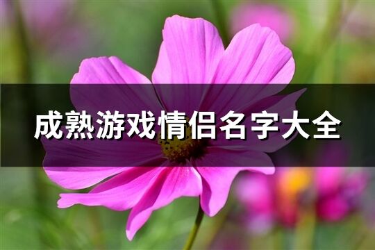 成熟游戲情侶名字大全(精選174個)