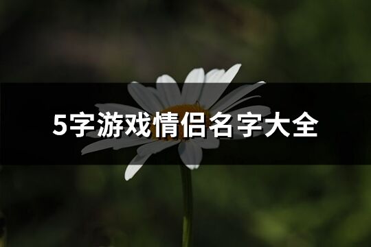 5字游戲情侶名字大全(優(yōu)選620個(gè))
