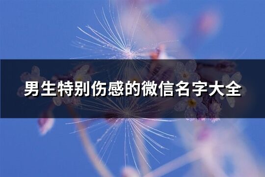 男生特別傷感的微信名字大全(616個)