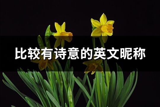 比較有詩意的英文昵稱(共109個)