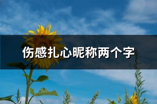 傷感扎心昵稱兩個字(244個)