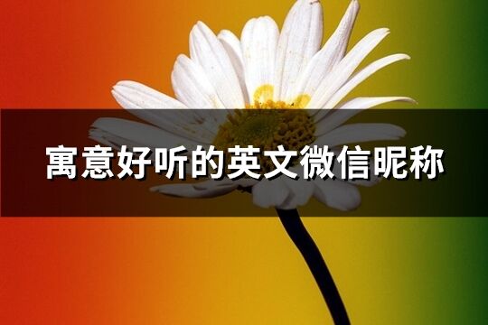 寓意好聽的英文微信昵稱(精選173個)