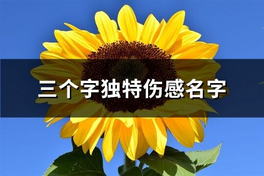 三個(gè)字獨(dú)特傷感名字(優(yōu)選1482個(gè))