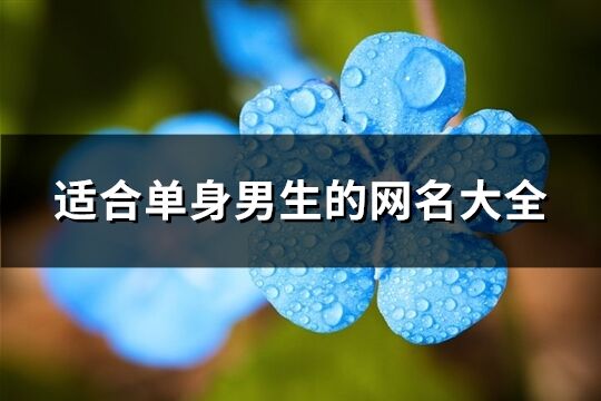 適合單身男生的網名大全(共218個)