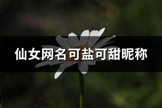 仙女網(wǎng)名可鹽可甜昵稱(優(yōu)選192個)
