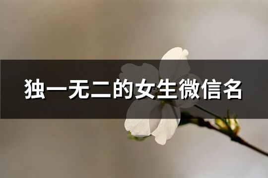獨(dú)一無二的女生微信名(共270個(gè))