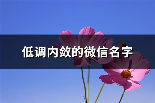 低調內斂的微信名字(730個)