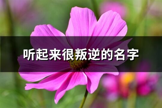 聽起來很叛逆的名字(230個(gè))