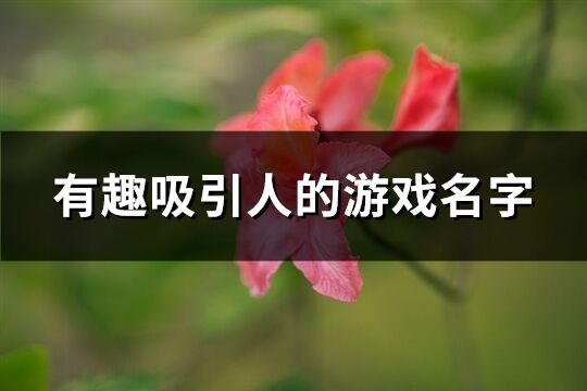 有趣吸引人的游戲名字(優選184個)