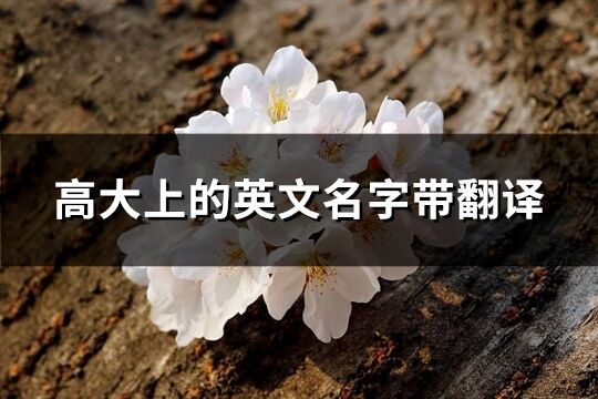 高大上的英文名字帶翻譯(精選76個)