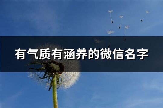 有氣質有涵養的微信名字(共533個)