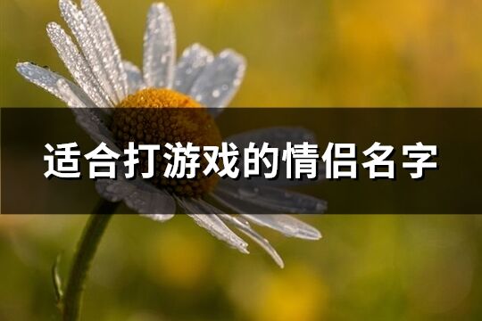 適合打游戲的情侶名字(精選342個)