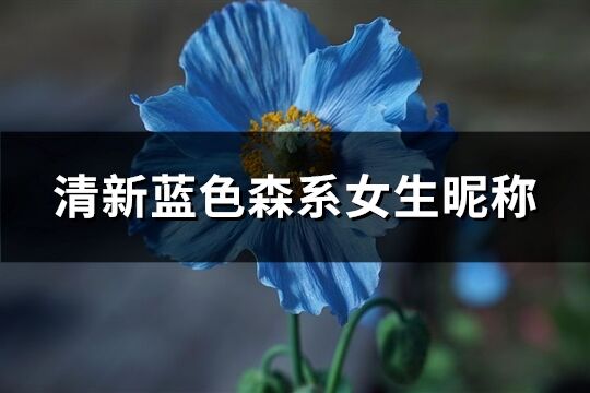 清新藍色森系女生昵稱(144個)
