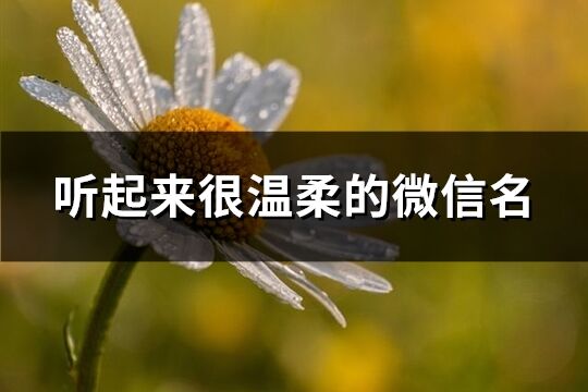 聽起來很溫柔的微信名(470個)