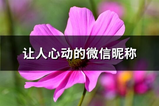 讓人心動的微信昵稱(共293個)