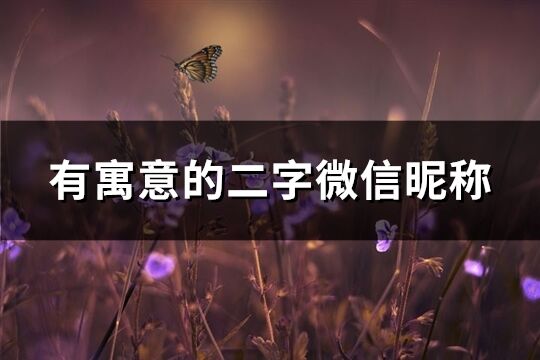 有寓意的二字微信昵稱(chēng)(精選852個(gè))