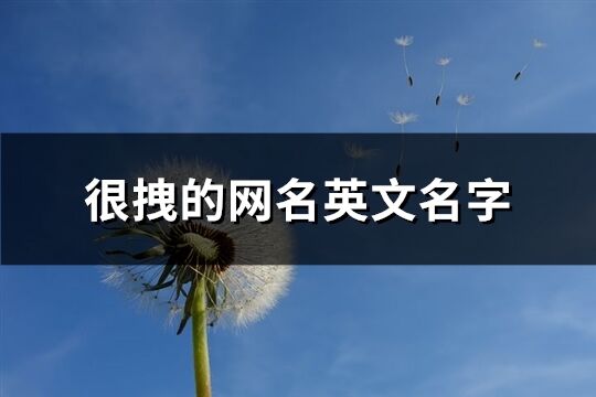 很拽的網名英文名字(精選86個)