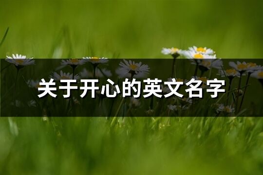 關于開心的英文名字(優(yōu)選80個)