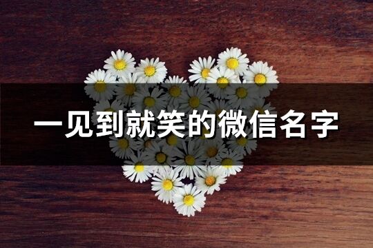 一見到就笑的微信名字(精選126個)