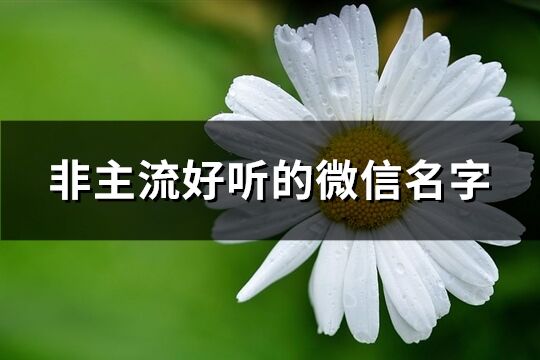 非主流好聽(tīng)的微信名字(優(yōu)選379個(gè))