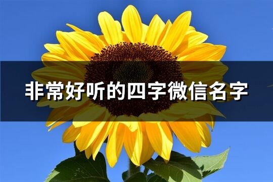 非常好聽的四字微信名字(共1078個)
