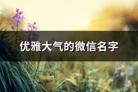優雅大氣的微信名字(564個)