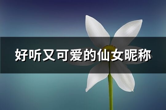 好聽又可愛的仙女昵稱(共143個)