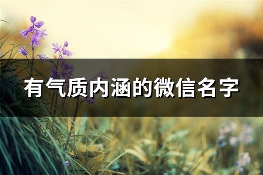有氣質內涵的微信名字(精選566個)