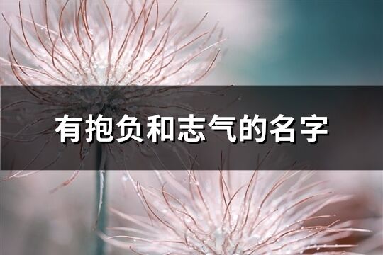 有抱負(fù)和志氣的名字(89個)
