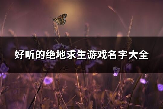 好聽的絕地求生游戲名字大全(674個)