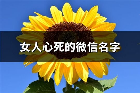 女人心死的微信名字(207個)