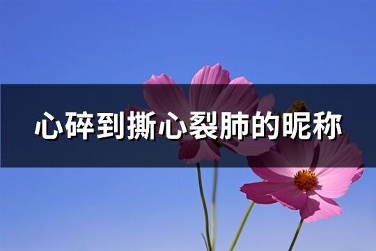 心碎到撕心裂肺的昵稱(優選249個)
