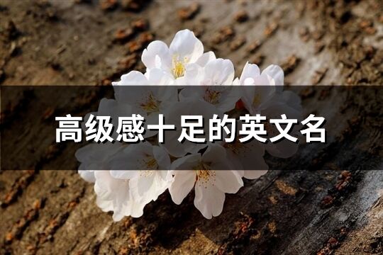 高級(jí)感十足的英文名(154個(gè))