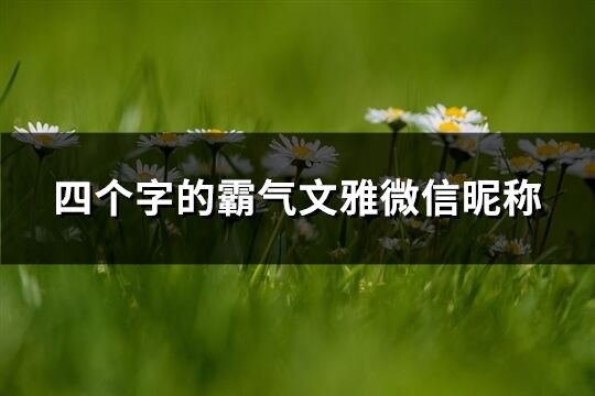 四個字的霸氣文雅微信昵稱(優(yōu)選383個)