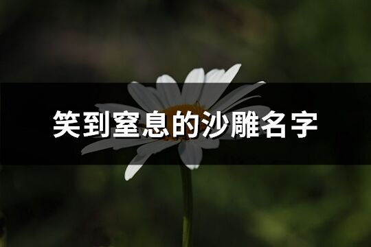 笑到窒息的沙雕名字(393個)