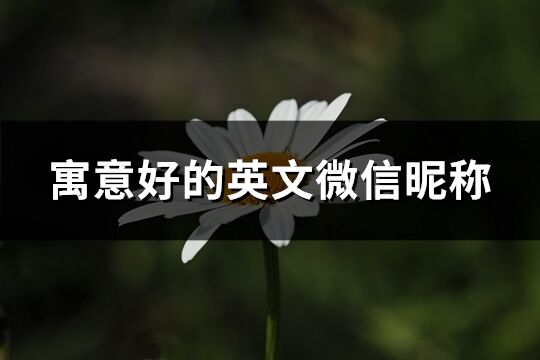 寓意好的英文微信昵稱(共141個)