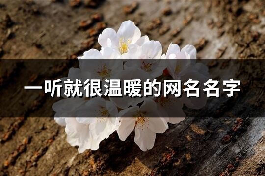 一聽就很溫暖的網名名字(共443個)
