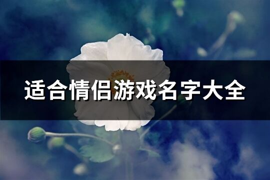 適合情侶游戲名字大全(優(yōu)選337個(gè))